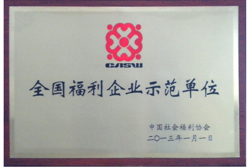 全國福利企業示范單位（2013）