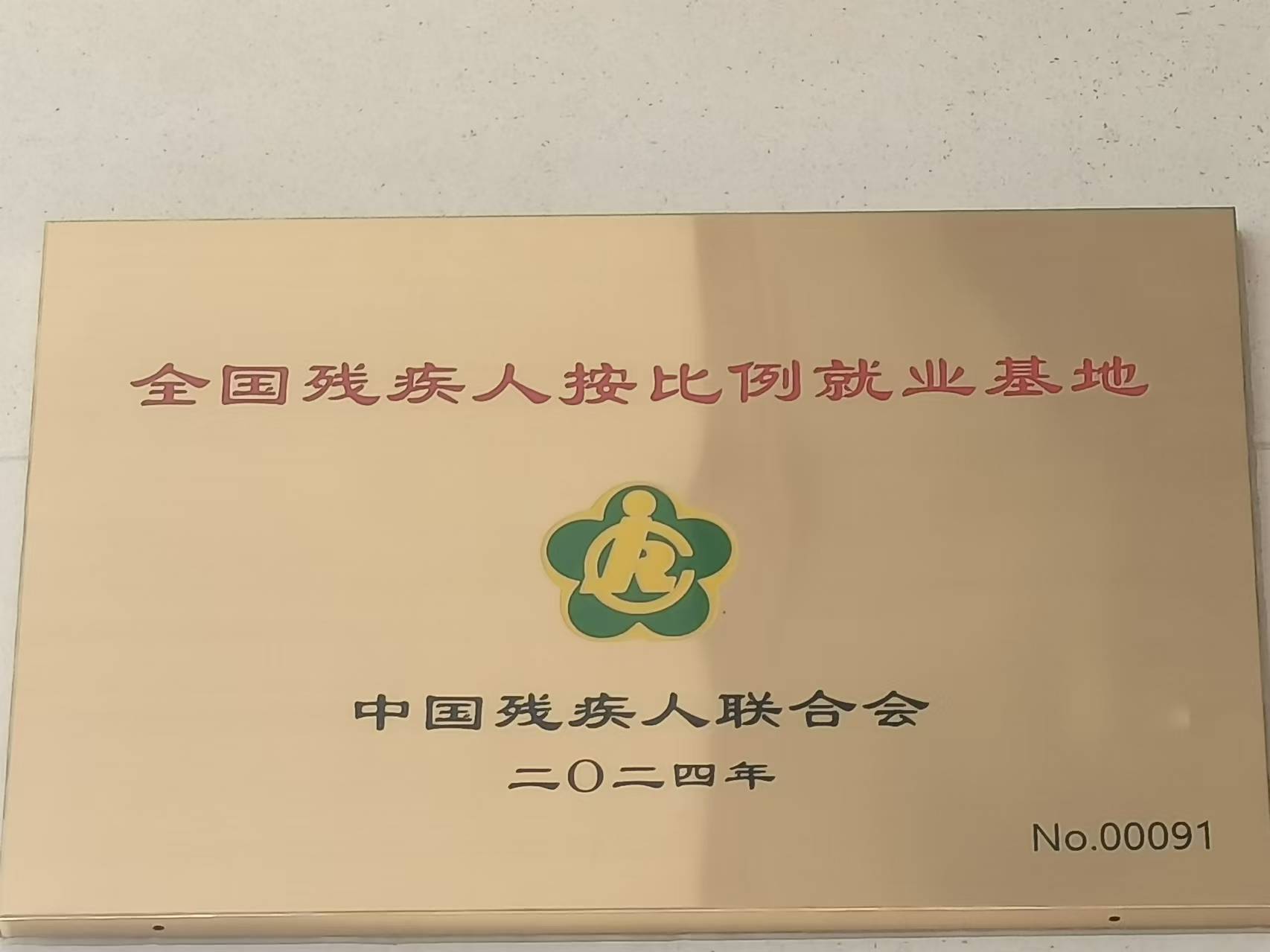 全國殘疾人按比例就業基地（2024）